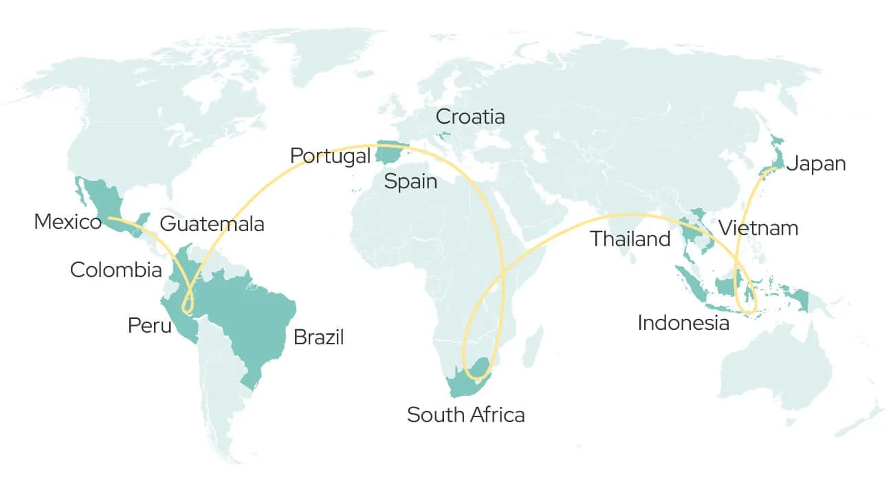 Path traveling around the world
