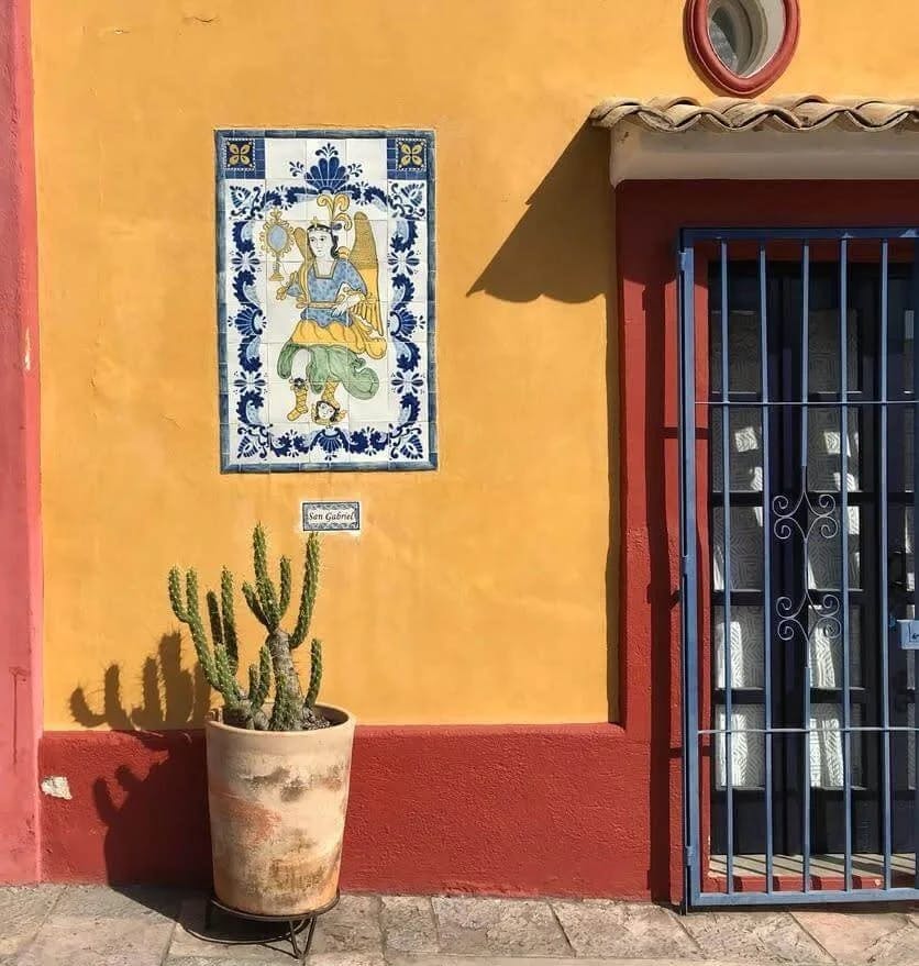 Remote Year Latin America Journey. Yellow wall and cactus.