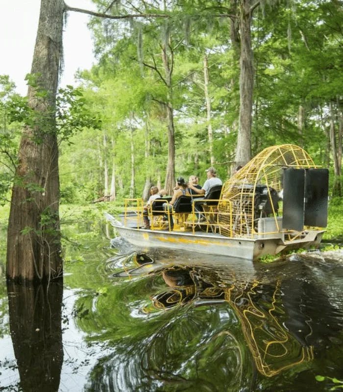 Bayou swamp ride
