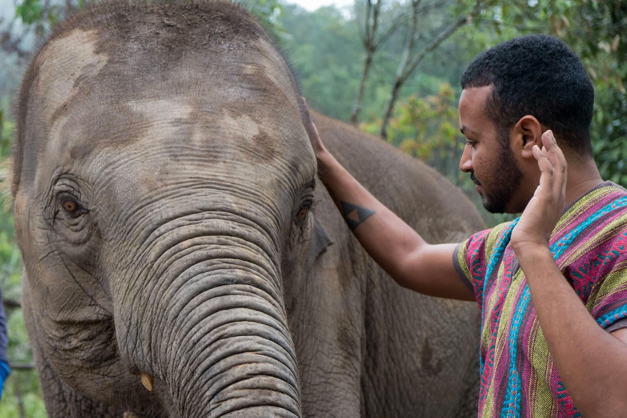 man petting elephant