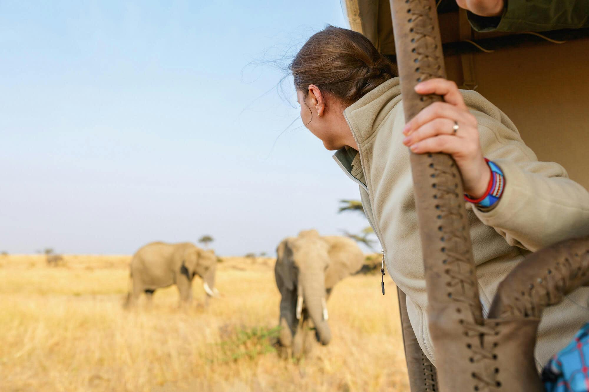 girl looking at elephants